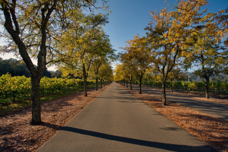 Sterling Vinyards