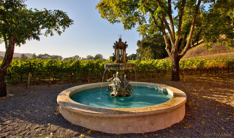 Fountain of Bacchi
