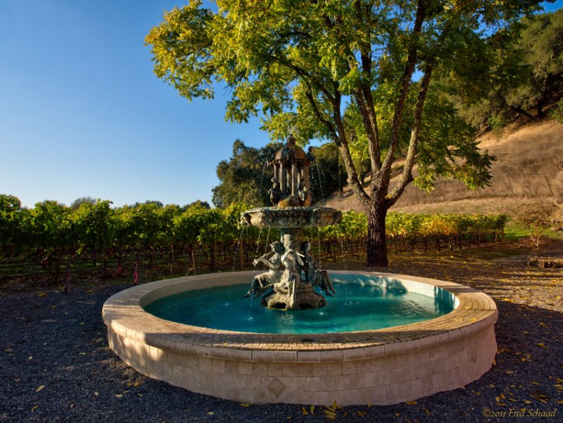 Fountain of Bacchi II