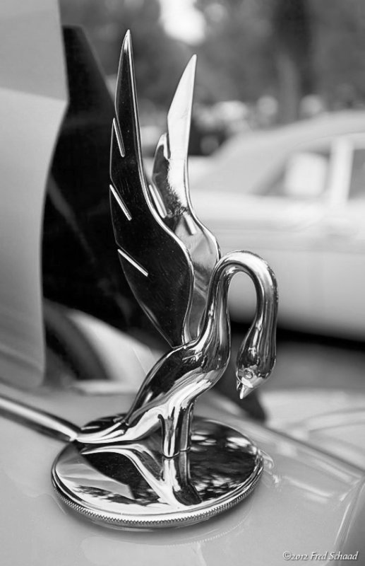 1939 Packard Cormorant
