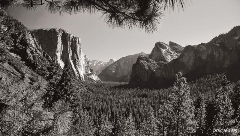 Tunnel View