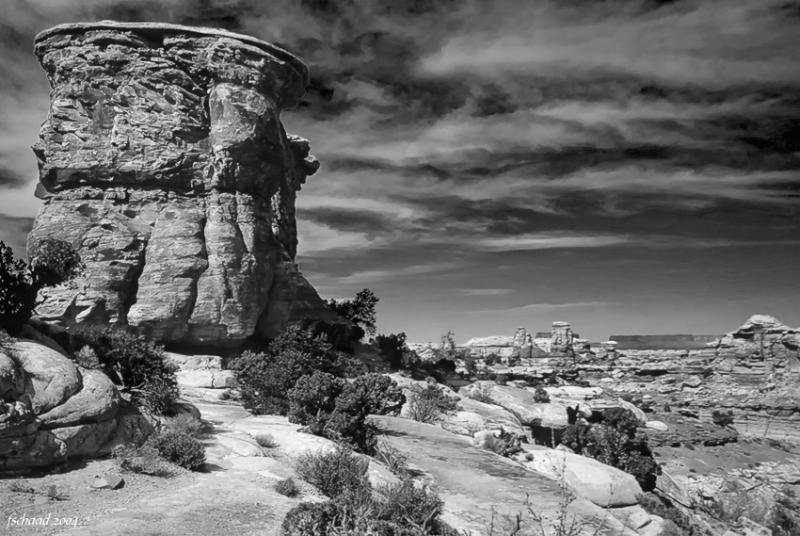 Natural Bridges