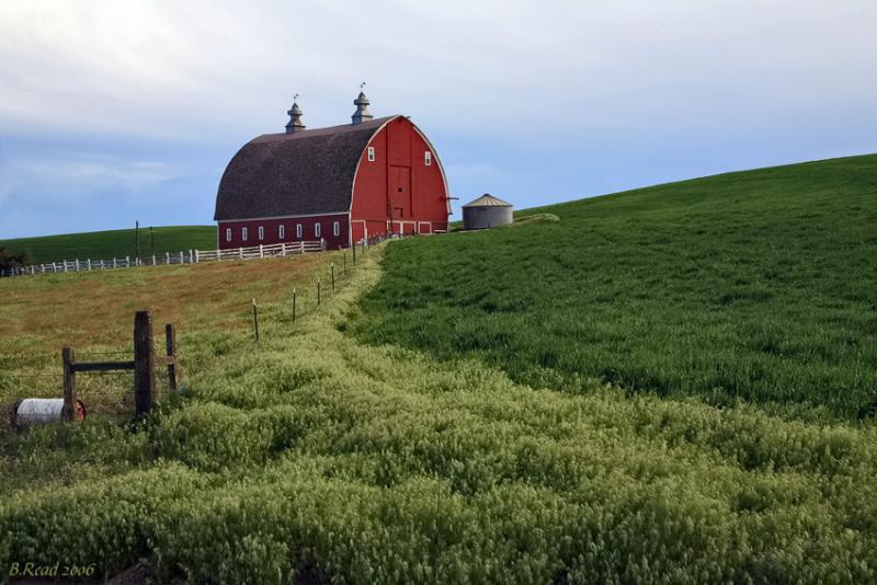 Palouse Pride II