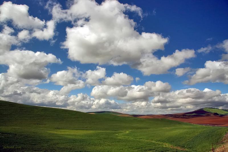 Rolling Prairie of the Palouse