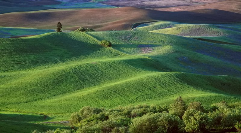 Morning Over the Palouse