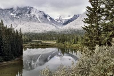 Bow Valley Parkway II