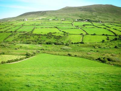 Irish Countryside near Dingle