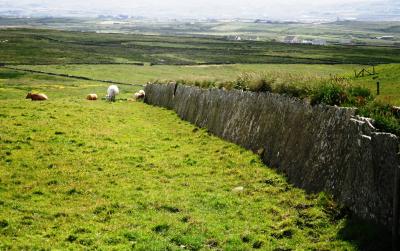 Irish Countryside