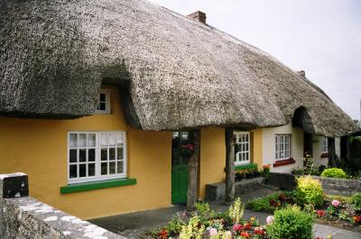 Thatched Roof in Tralee