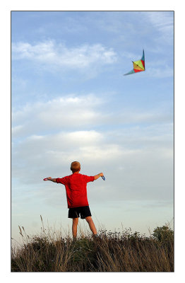 Cerf volant dans les dunes.