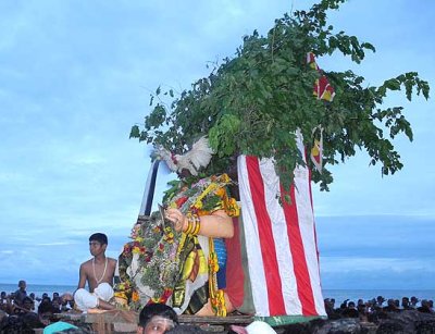 The cock, representing the demon`s spirit, starts the final attack. Skanda Sashti at Tiruchendur.