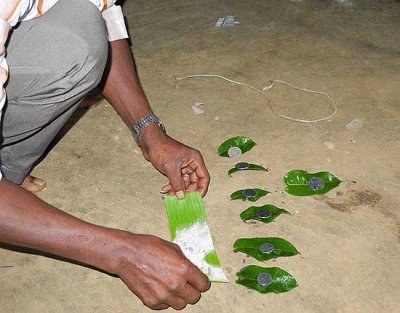 Kani shaman. A banana leaf with ashes and 7 leaves with 1 rupee 25 paise each are needed for the ceremony. Tirunelveli District.