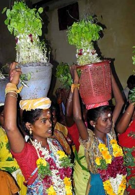 Mulaipari festival at Koovathupatti Tamil Nadu. http://www.blurb.com/books/3782738