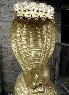 Golden nagas at the entrance of Nagaraja Temple at Nagercoil, Tamil Nadu. http://www.blurb.com/books/3782738