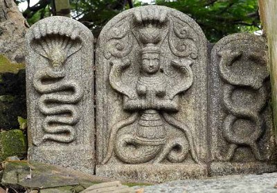 Naga stones. Bull Temple, Bangalore, Tamil Nadu. http://www.blurb.com/books/3782738