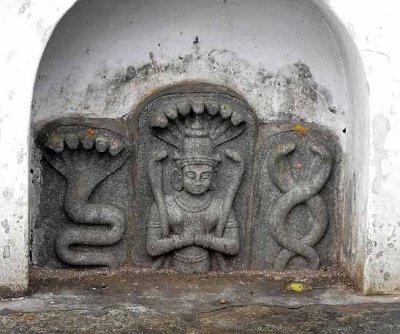 Naga stones. Bull Temple, Bangalore, Tamil Nadu. http://www.blurb.com/books/3782738