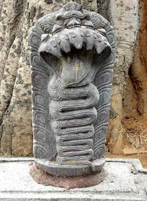 Naga stone. Bull Temple, Bangalore. http://www.blurb.com/books/3782738