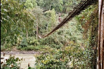 Suspension bridge across Subansiri river
