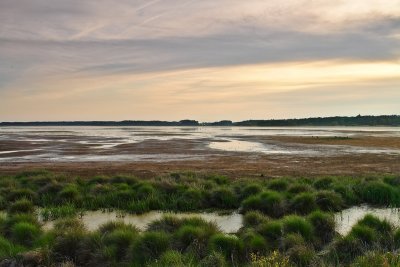 pastel evening on the refuge.jpg