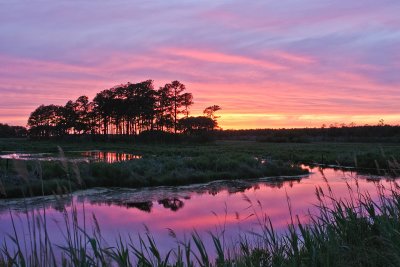 last light on the refuge.jpg