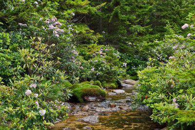 ds-611_726.jpg