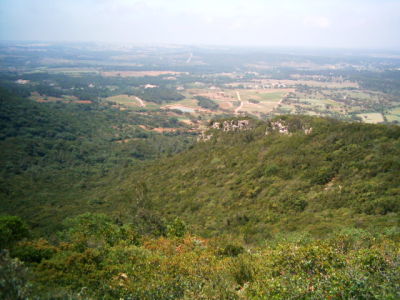 Lindo