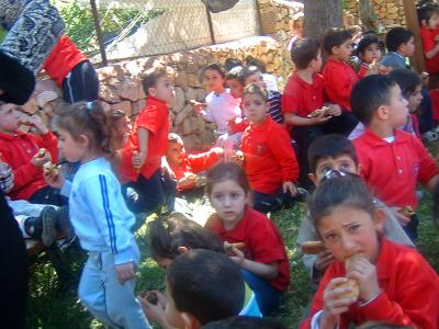 Special Outing and Picnic - Always Popular!