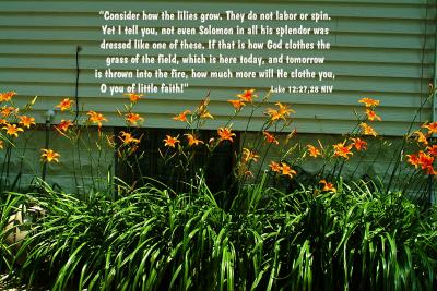 Consider the Lilies - Luke 12