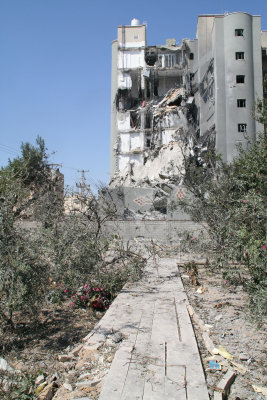 Damaged Garden Area Nearby