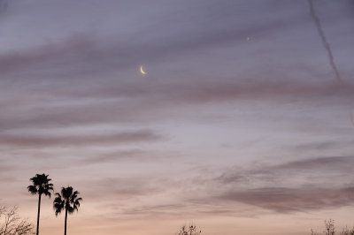 Morning Conjunction