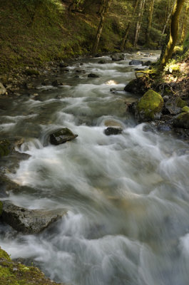 The rushing Stevens Creek