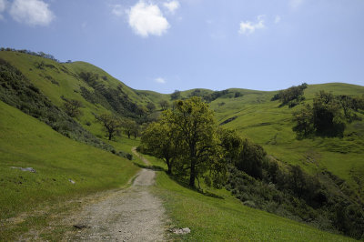 View Trail Road