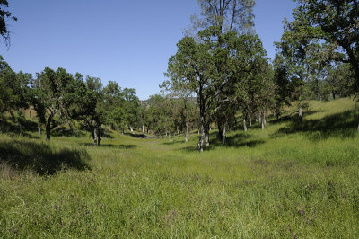 View along the Kaiser Aetna Rd