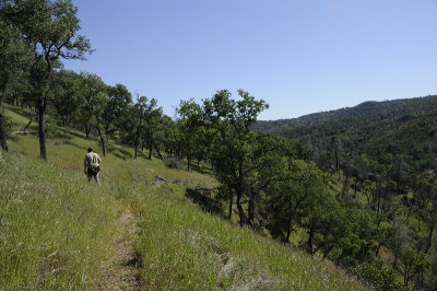 On the Orestimba Creek Trail