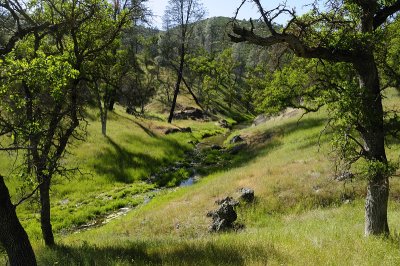 On the Orestimba Creek Trail