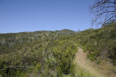 On the Alquist Trail