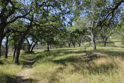 Alquist Trail