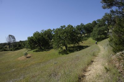 Alquist Trail