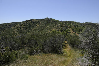 View back from the Hartman Trail