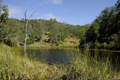 Frog Lake