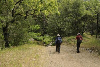 Finally down to the Middle Fork Coyote Creek