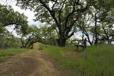 Our lunch bench