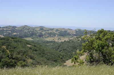 View from the Halls Valley Trail