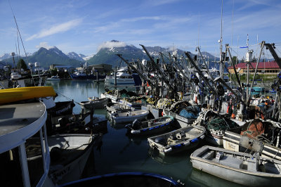 Valdez Harbor