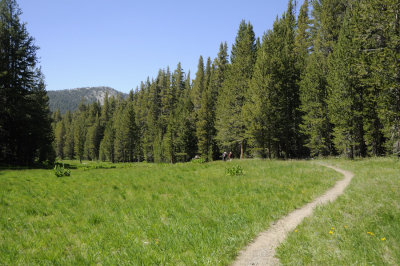 Hike Back