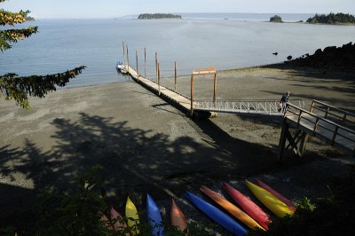 Low Tide at Otter Cove