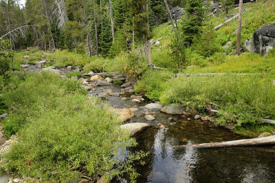 Bridal Veil Creek