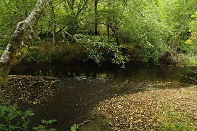 Creek near the Elk Cabins