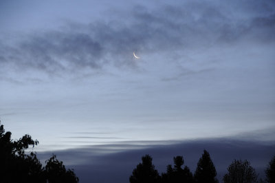 Early Morning Crescent Moon