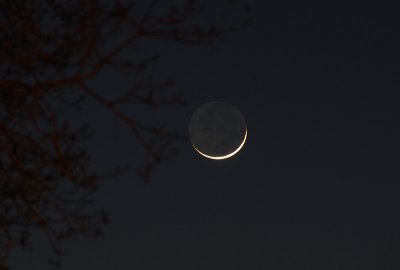 Thin Crescent Moon setting